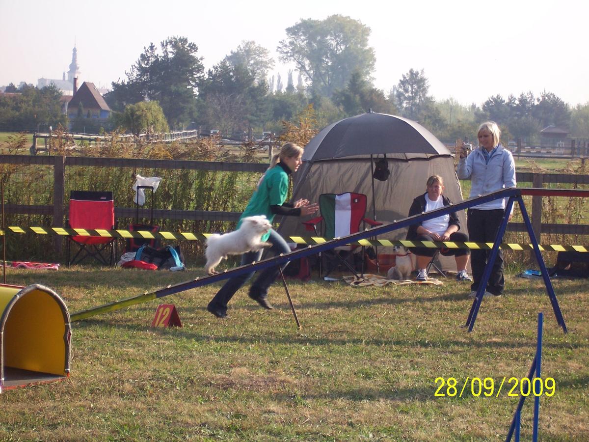 100_4936.JPG