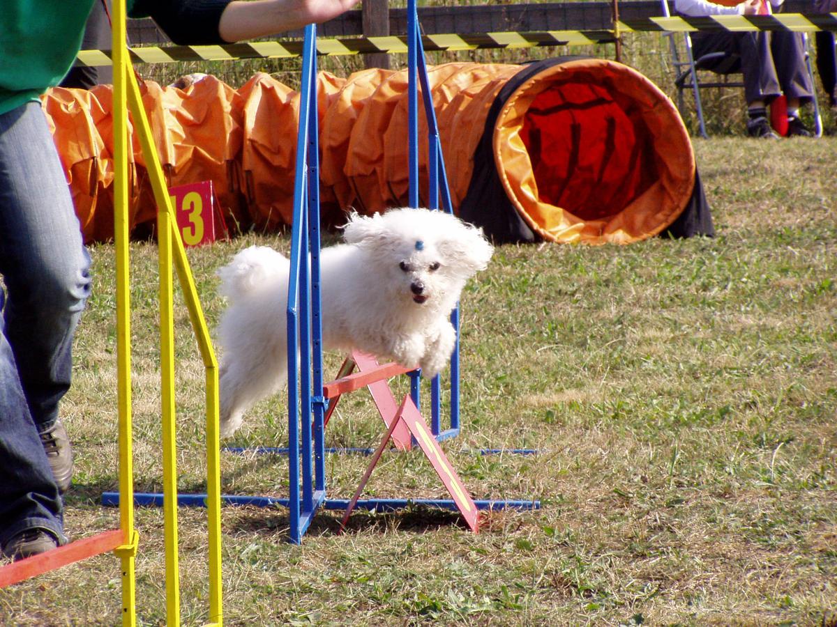 P1010040.JPG
